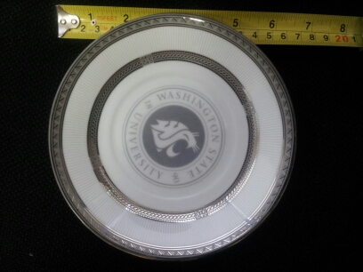 We have Platinum plates here, this was our older version. Ask about our newest line of Platinum printed dishware.