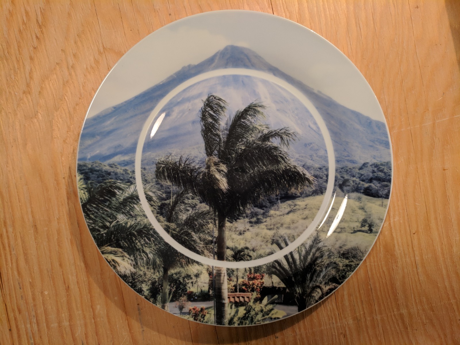 Custom Printed Dinner Plates