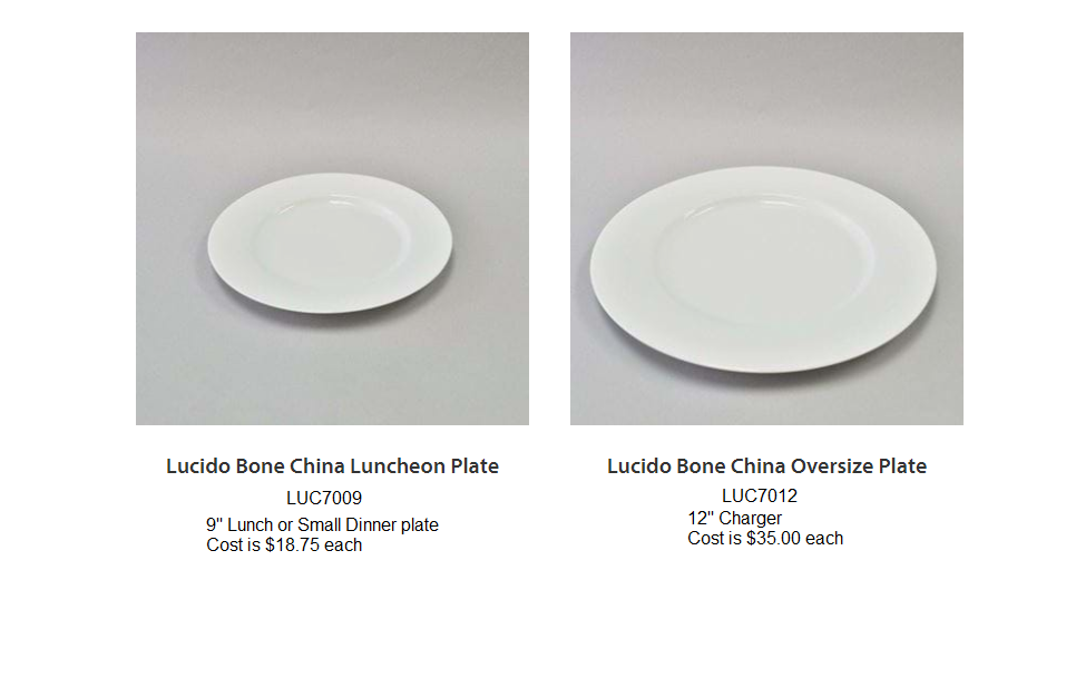 Lucido Bone China Wholesale Dishware 2